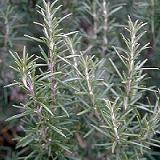 自由が丘のエステ&アロマ・サロン、アロママッサージ、リンパドレナージュ、フェイシャル|目黒、エフェクティブタッチ